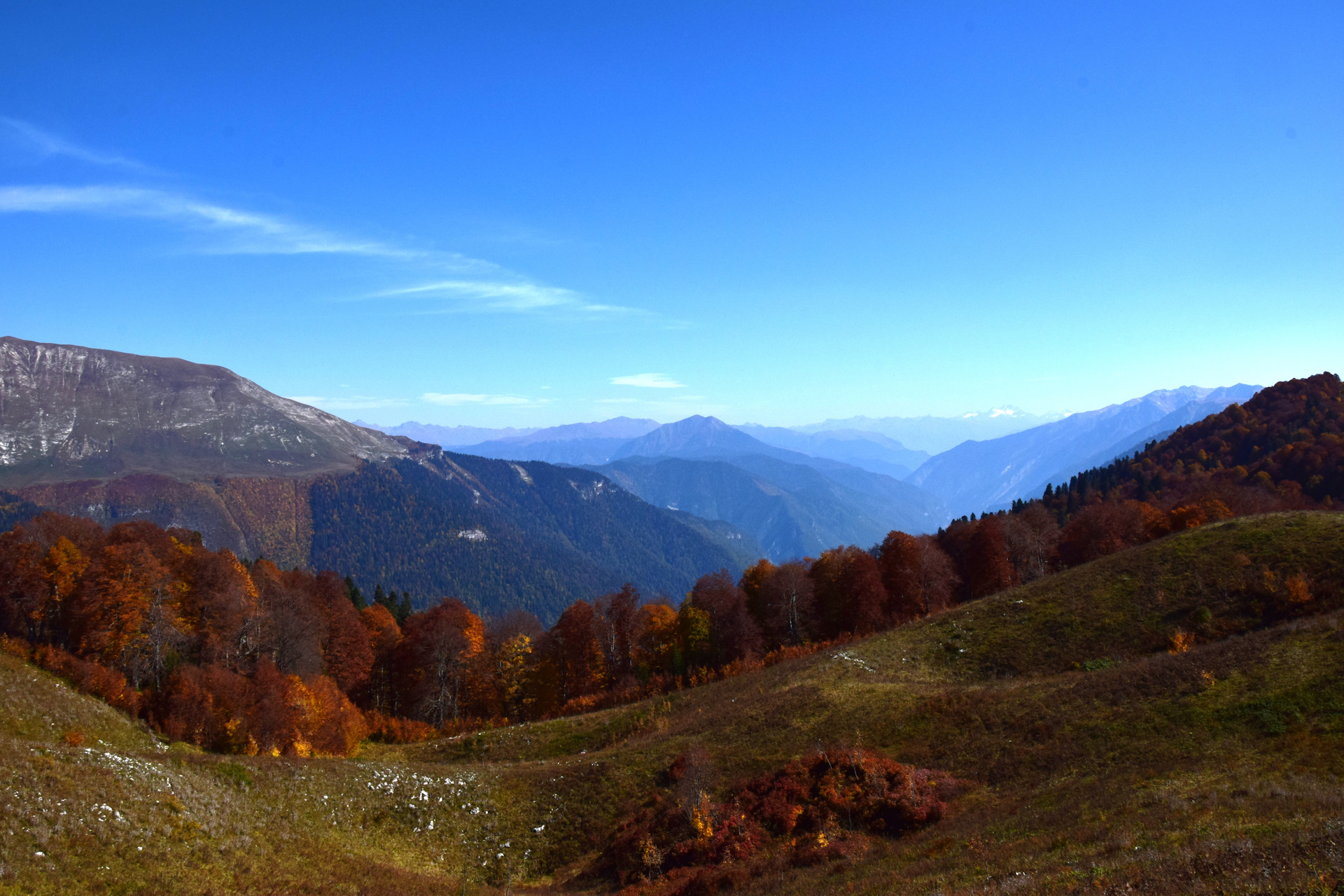 Альпийские Луга Абхазия осенью