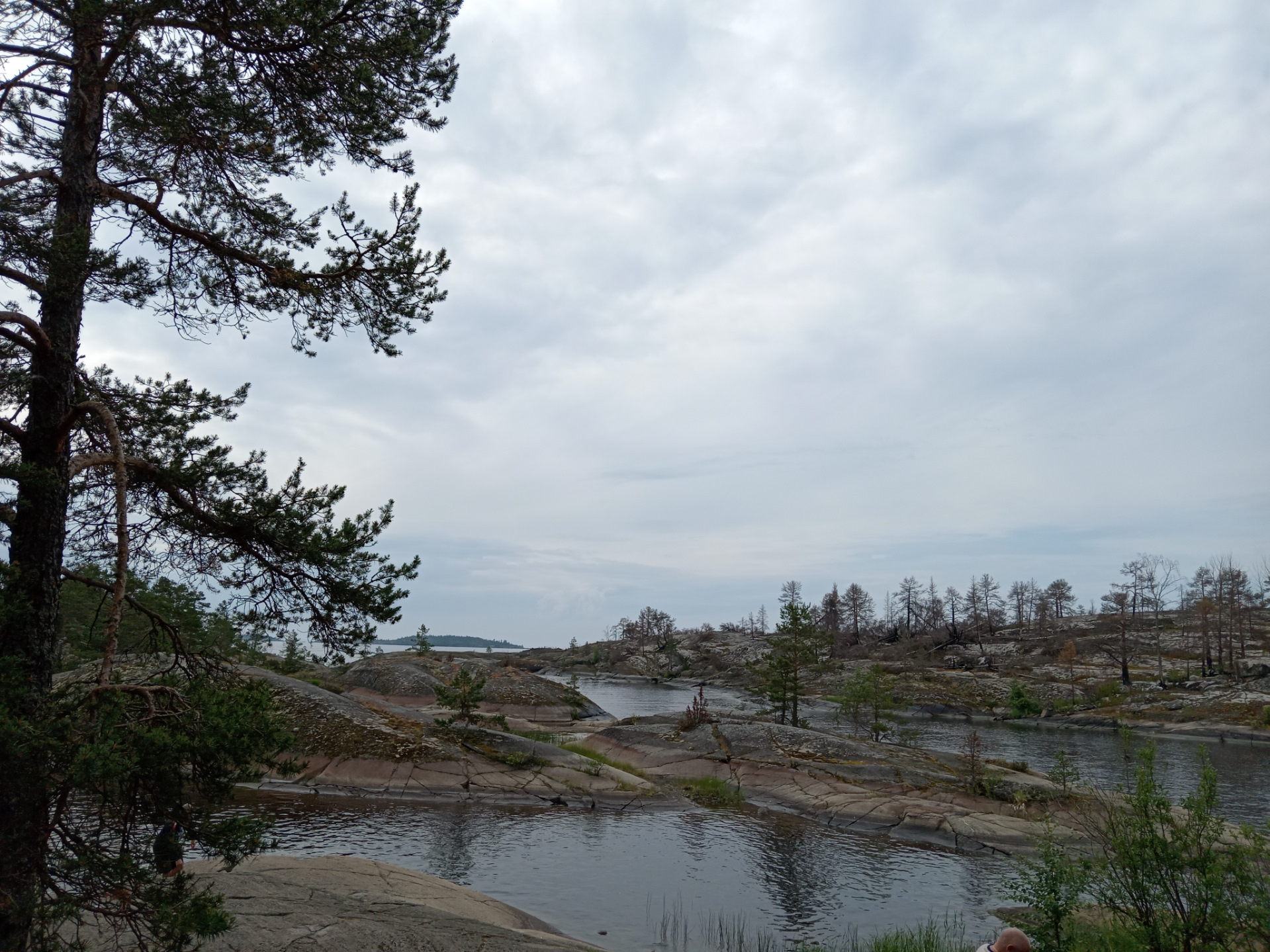 Вокруг Ладожского озера. — Renault Logan (1G), 1,4 л, 2007 года ...