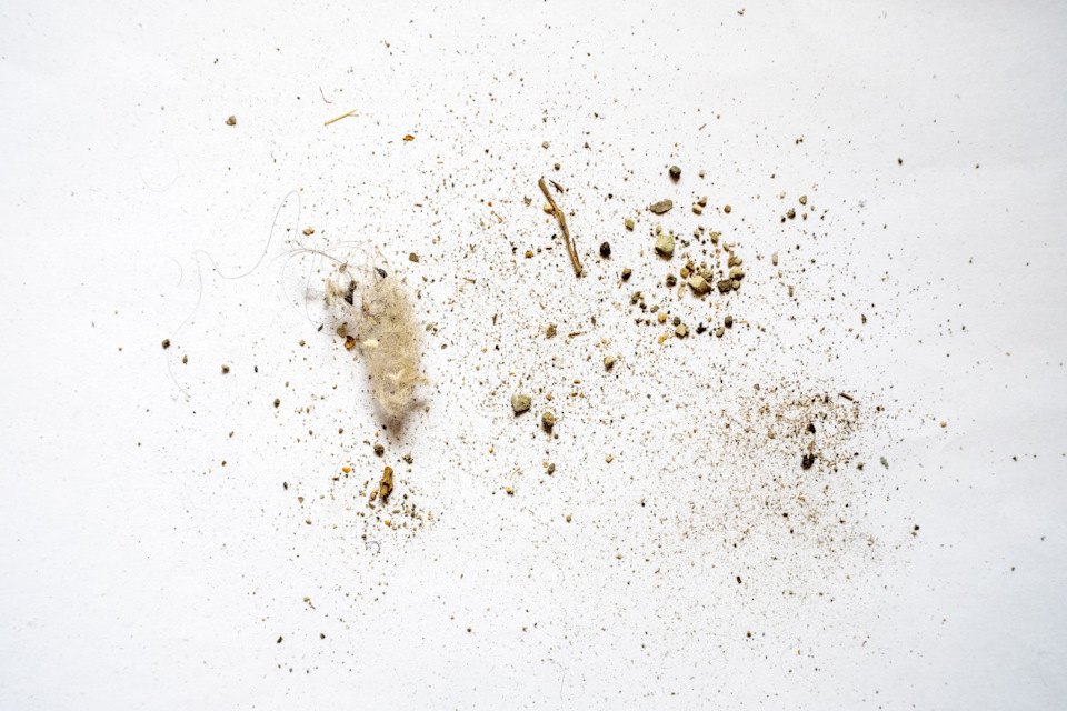 Пылесос легко — Renault Kaptur (2020)