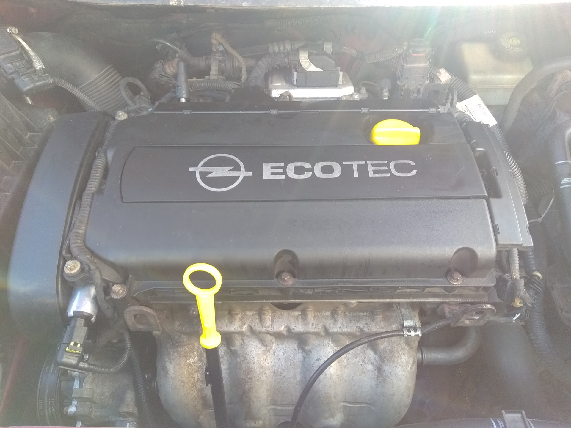 Масло двигателя опель зафира б. Opel Zafira ECOTEC 1.8. Opel Zafira щуп масла. Опель Зафира 1999 1.8 Экотек крышка масленний. Щуп для масла Опель Зафира 1.6 литра.