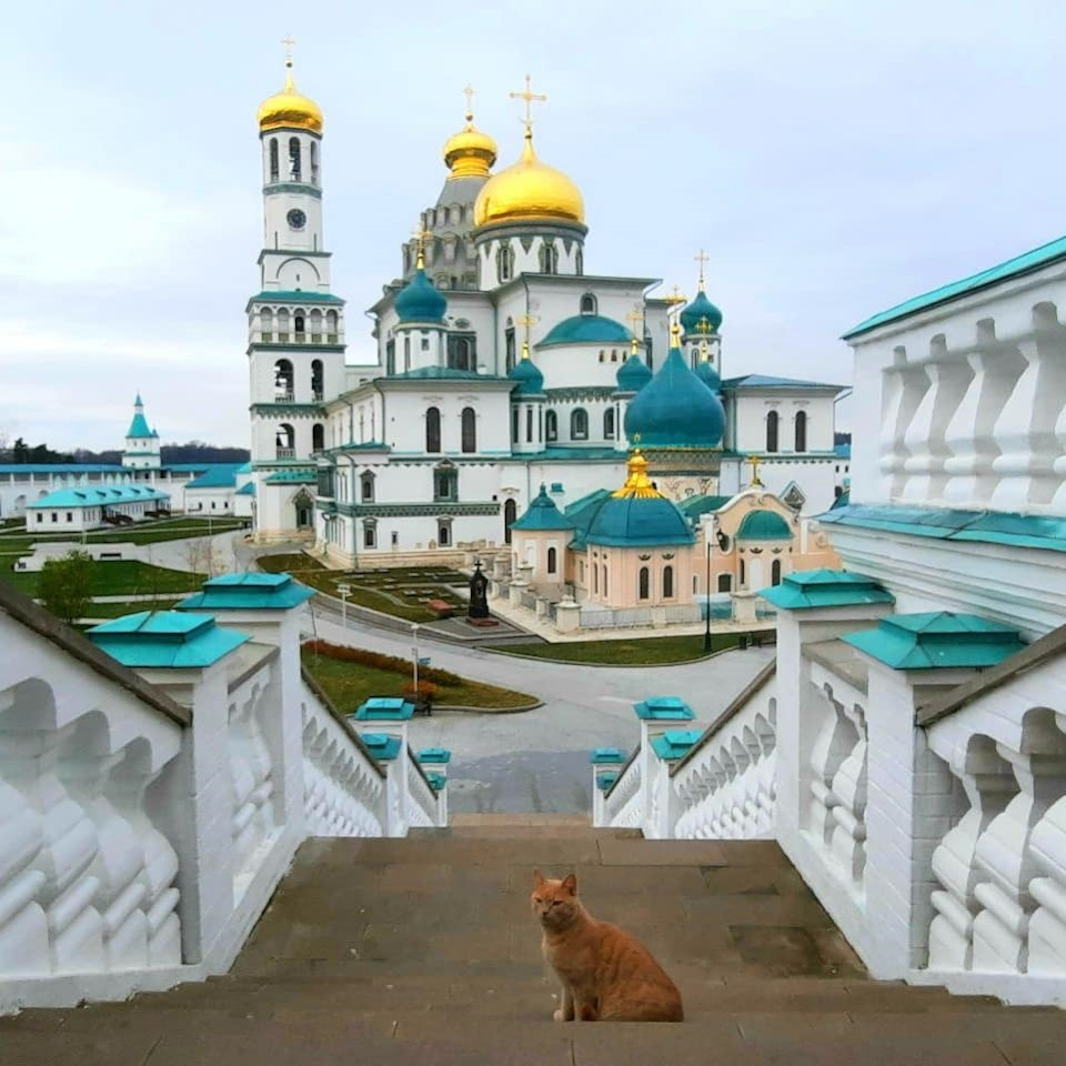 Чудесные места подмосковья. — Сообщество «Клуб Путешественников» на DRIVE2