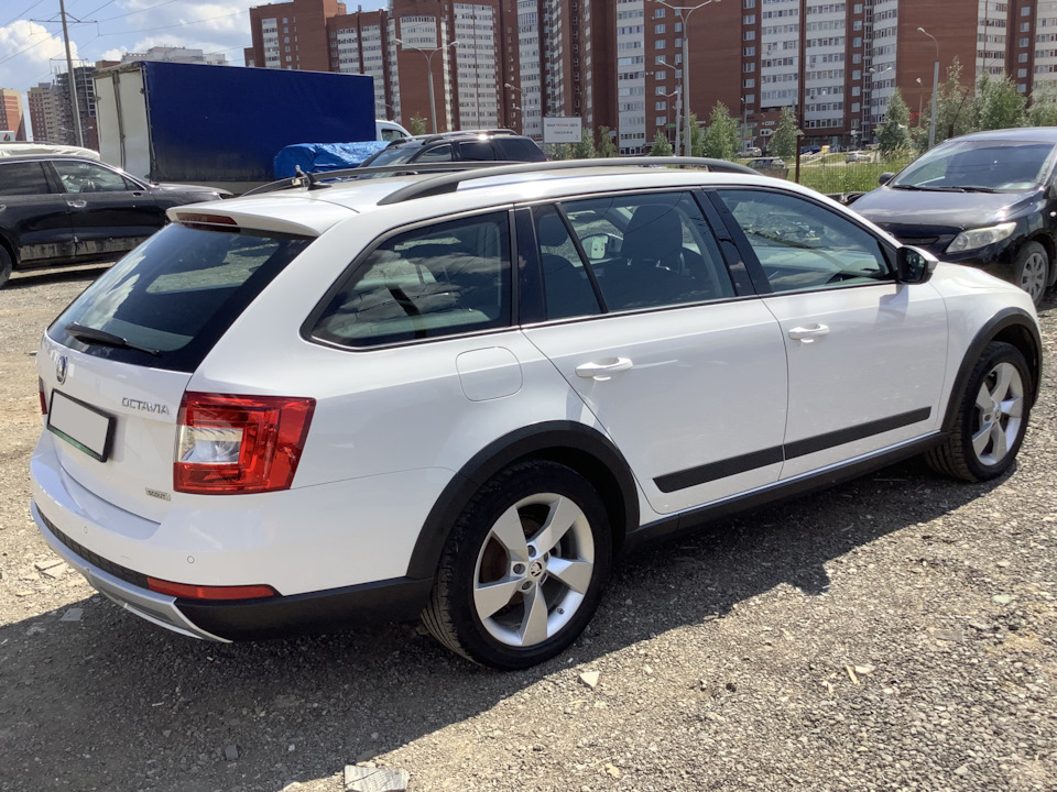 Фото в бортжурнале Skoda Octavia Scout A7 Mk3