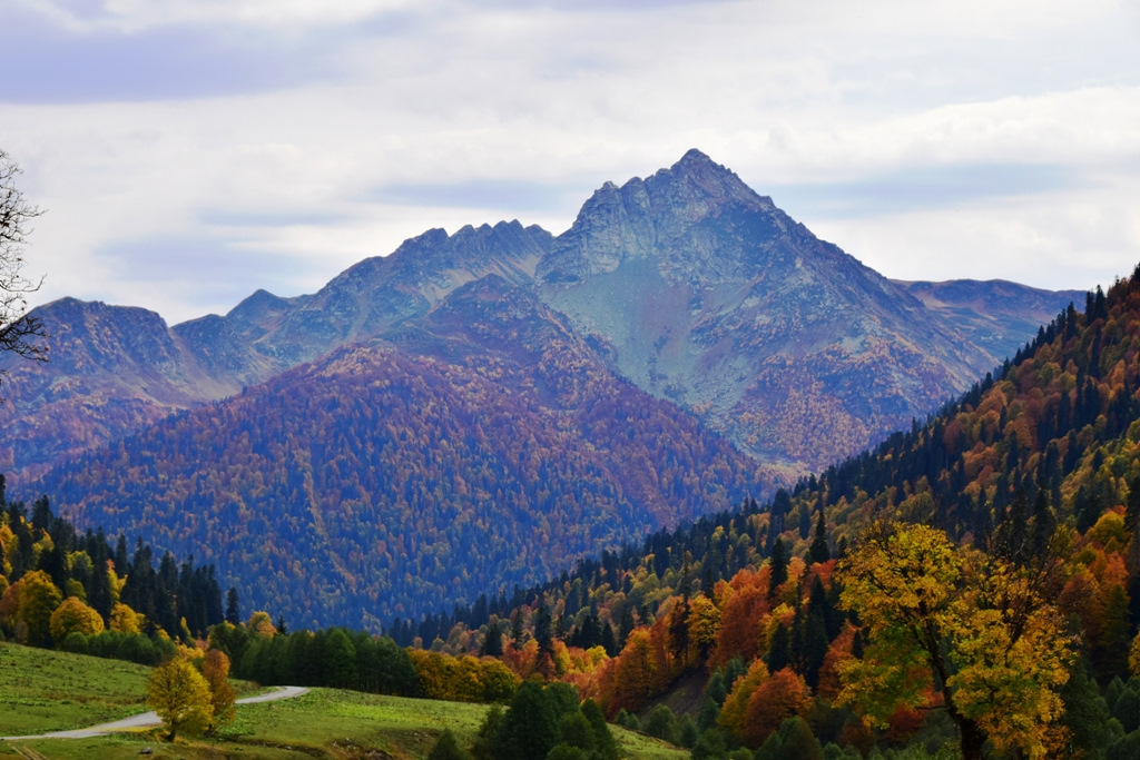 Абхазия Гагры осень