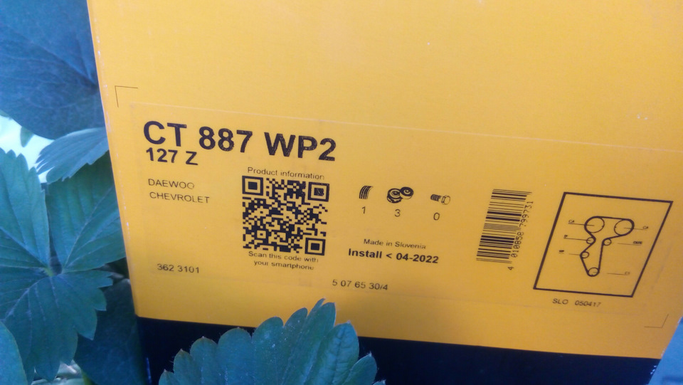CT887WP2 Водяной насос + комплект зубчатого ремня CONTITECH | Запчасти ...
