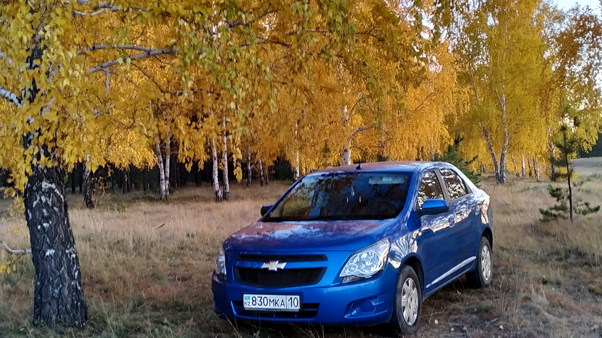 Шевроле казахстан. Кобальт синий Киа. Киа b3 кобальт синий.