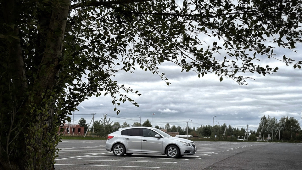 Chevrolet Cruze Hatchback Хомяк 🐹