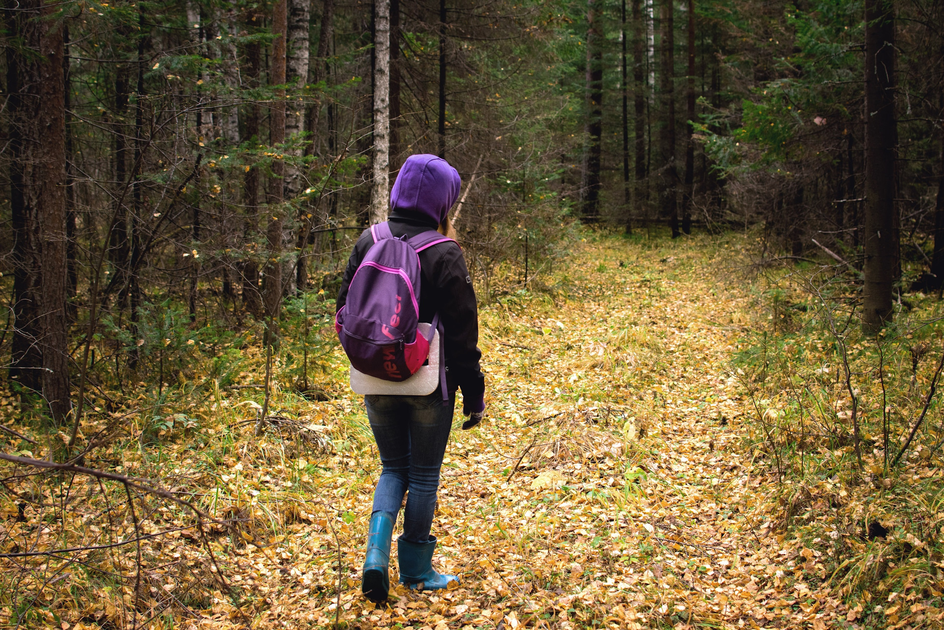 Гуляла девочка в лесу. Девочка гуляет в лесу. Прогулки по лесу. Девочка в лесу прогулка. Прогулка по лесу девушка.