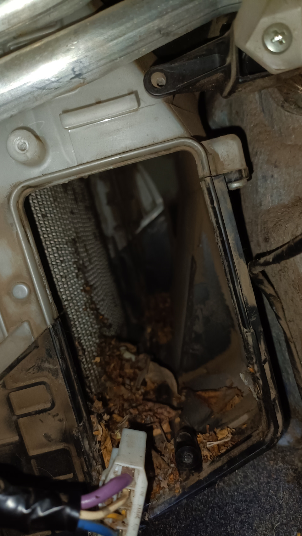 Грязь — Mazda 3 (2G) BL