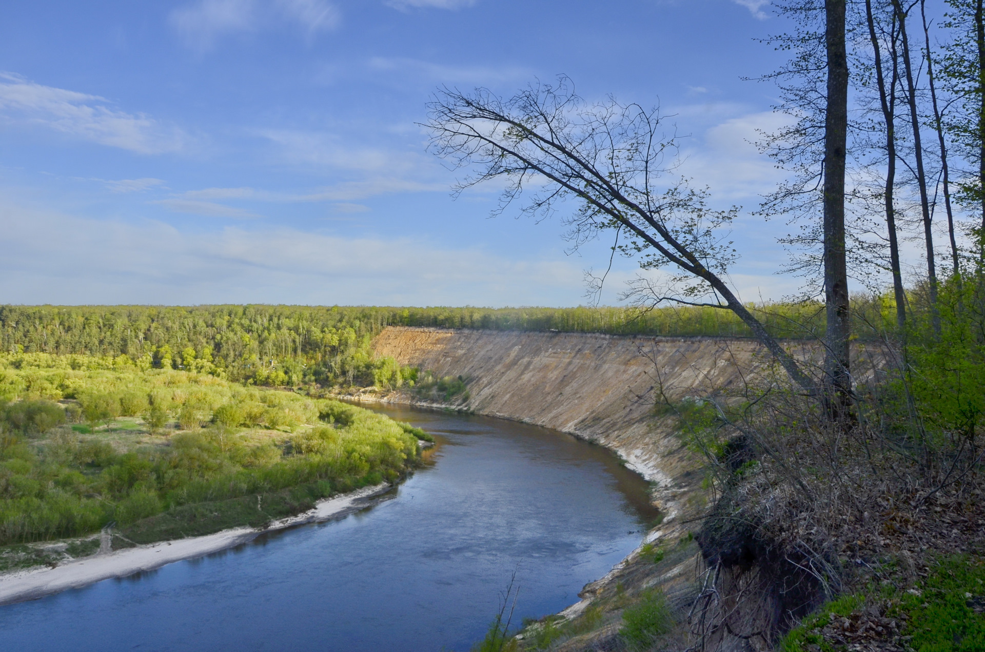 Карта кривоборье воронежская область