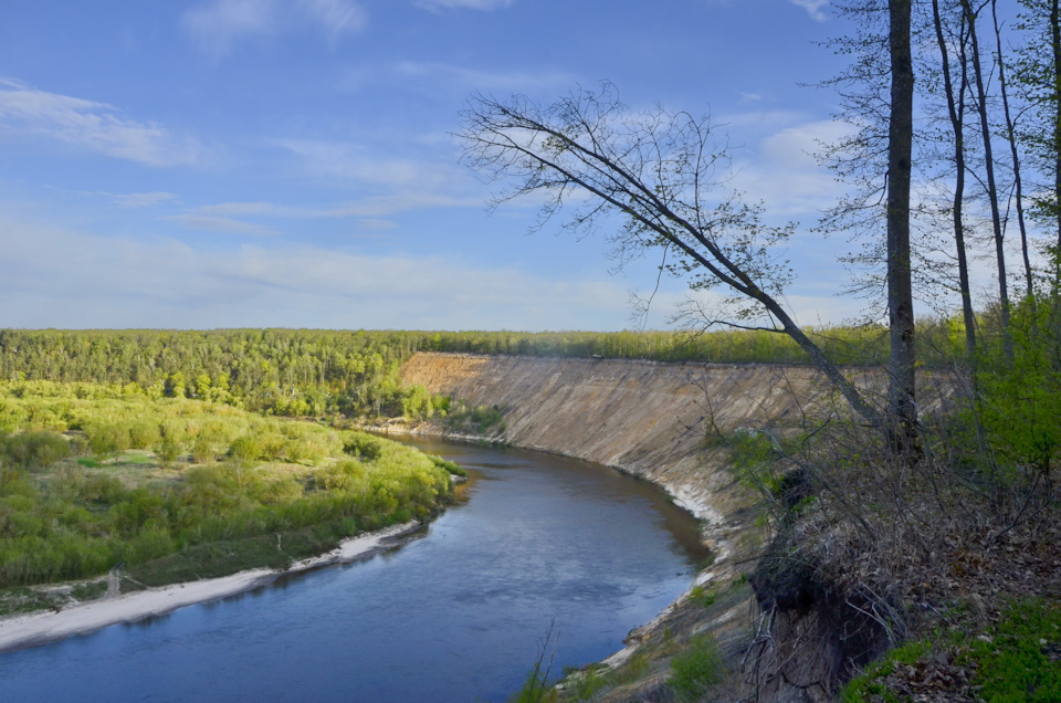 Карта воронеж кривоборье