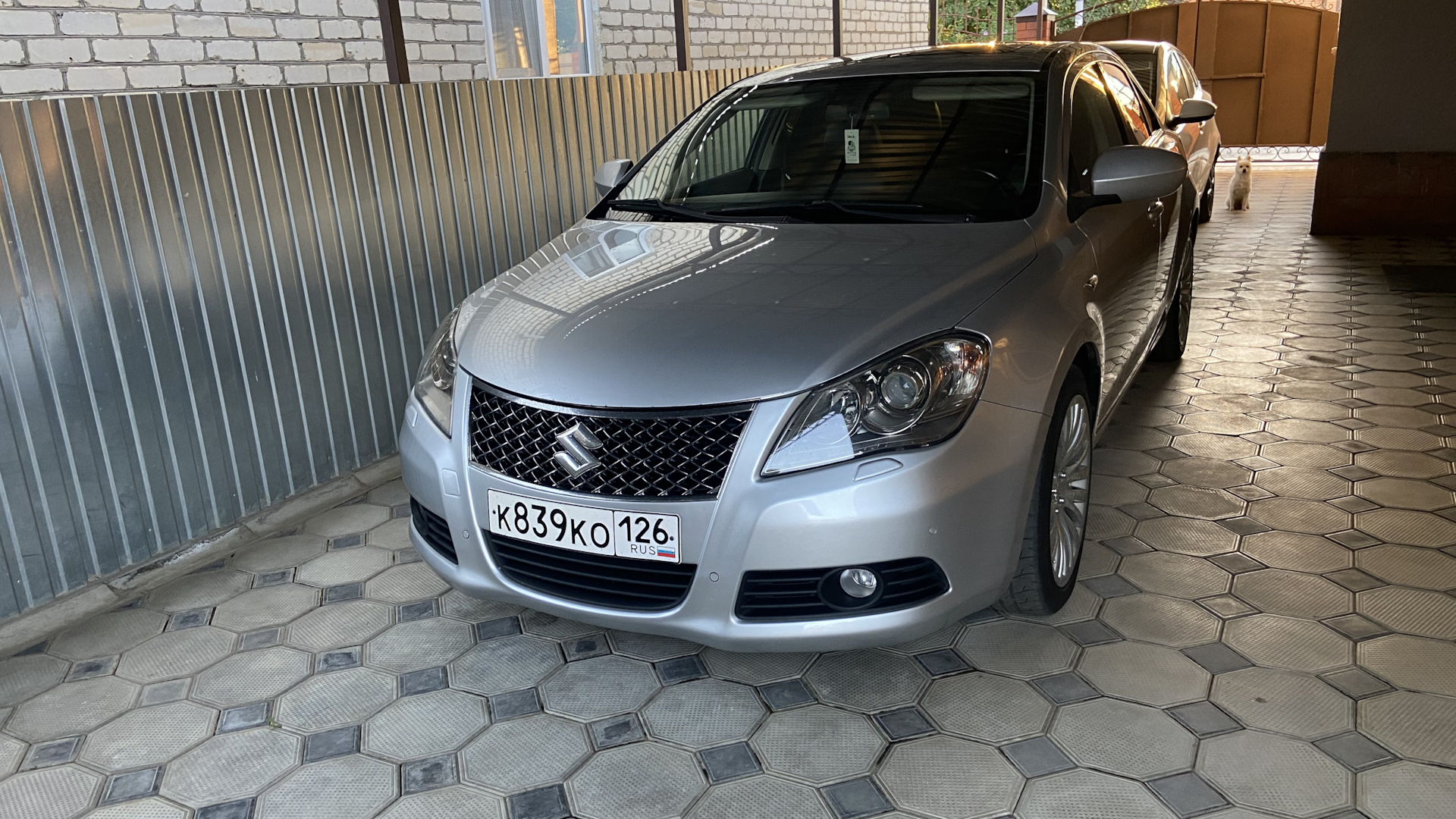 Suzuki Kizashi 2010