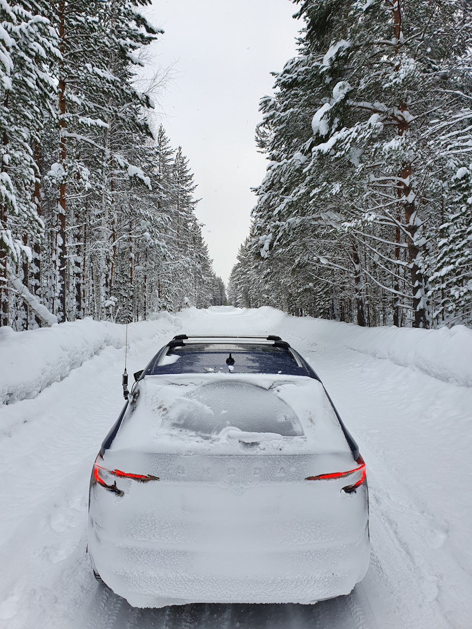 Челябинск-Красноярск-Сургут / Автозимник Каргасок / 6000 км — Skoda Kodiaq,  2 л, 2019 года | путешествие | DRIVE2