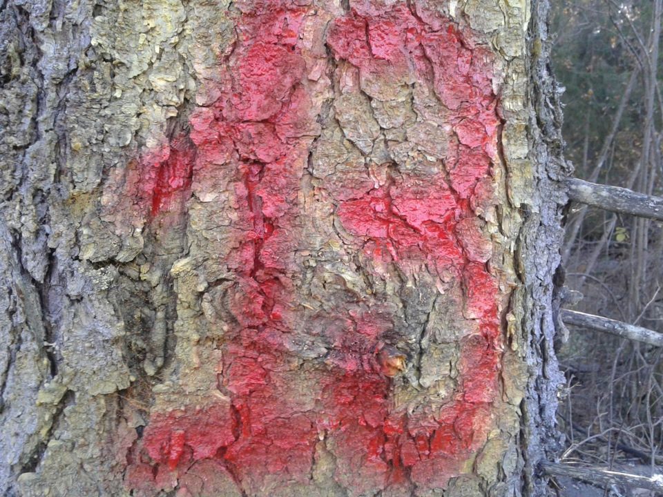 Маркировка КП — Land Rover Discovery II