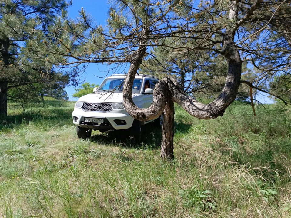 Фото в бортжурнале УАЗ Patriot