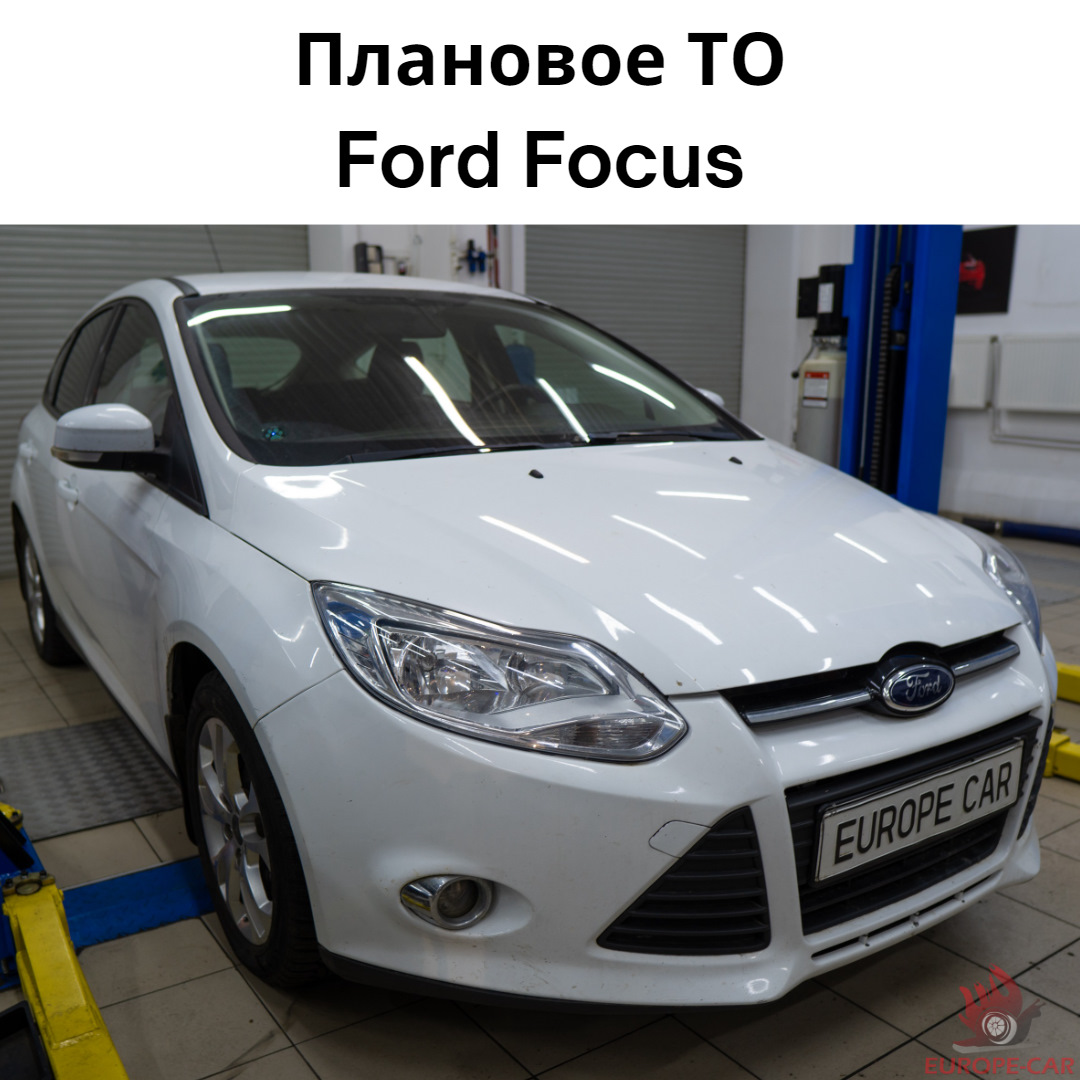 Ford focus краснодар. Ford focus краснодар