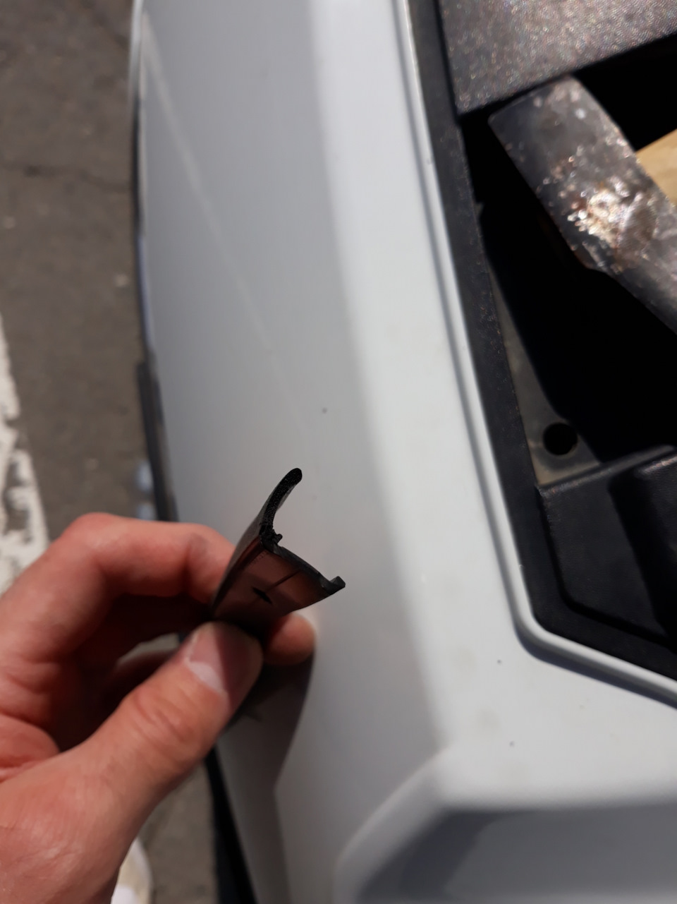 уплотнитель капота рено меган 3 правый. Смотреть фото уплотнитель капота рено меган 3 правый. Смотреть картинку уплотнитель капота рено меган 3 правый. Картинка про уплотнитель капота рено меган 3 правый. Фото уплотнитель капота рено меган 3 правый уплотнитель капота рено меган 3 правый. Смотреть фото уплотнитель капота рено меган 3 правый. Смотреть картинку уплотнитель капота рено меган 3 правый. Картинка про уплотнитель капота рено меган 3 правый. Фото уплотнитель капота рено меган 3 правый