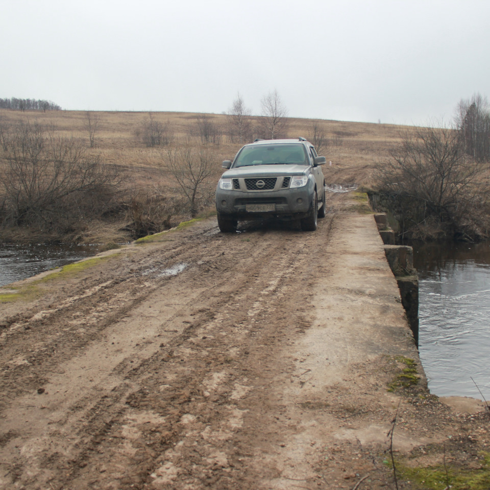 Скрип спереди, а где он?) — Nissan Pathfinder (3G), 3 л, 2011 года |  наблюдение | DRIVE2