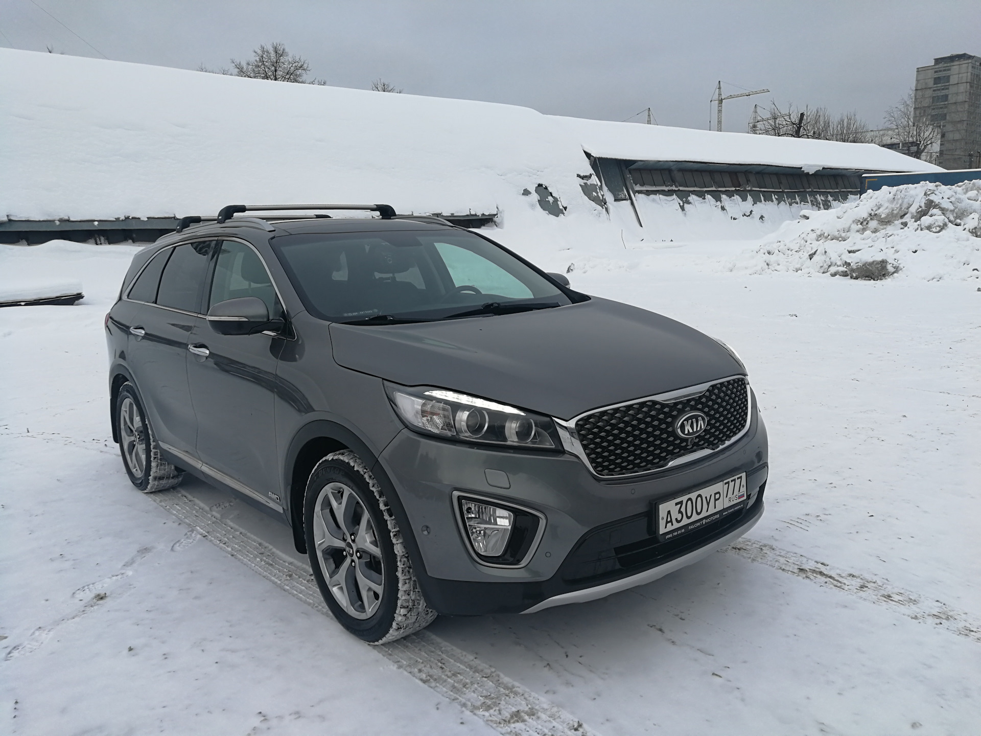 Kia Sorento 2023. Киа Соренто отзывы. Гос номер кия Соренто дизель. Киа Соренто 2103 год серая тонированная.