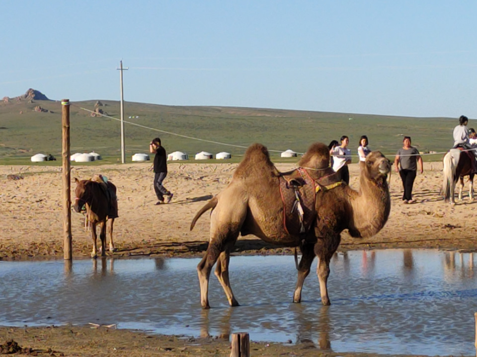 Крупным планом — Subaru Impreza (GD/GG)