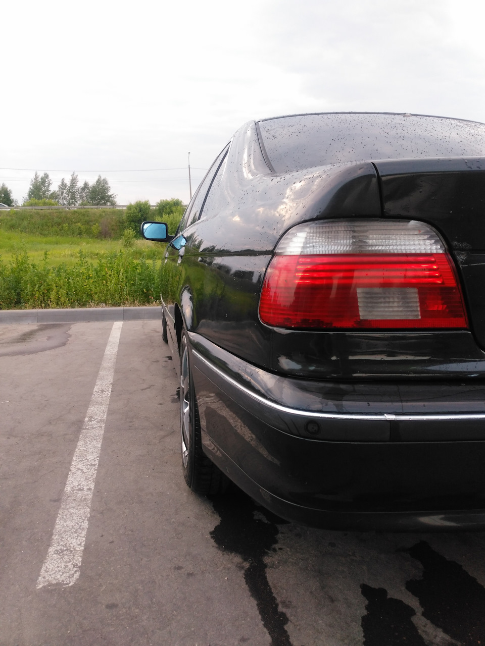 Фото в бортжурнале BMW 5 series (E39)