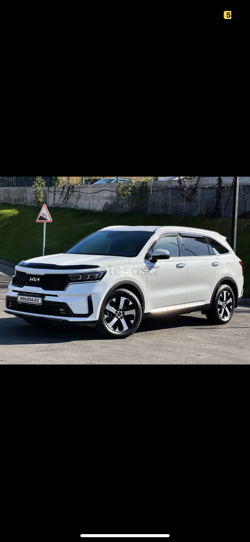 Стоит ли ставить мухобойку? — KIA Sorento (4G), 2,5 л, 2021 года |  аксессуары | DRIVE2