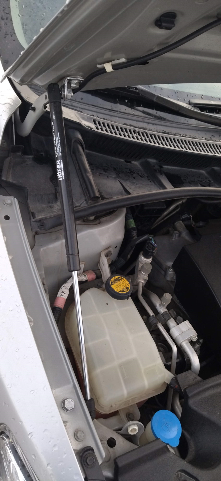 Установка газовых упор капота — Toyota Corolla (140/150), 1,6 л, 2008 ...