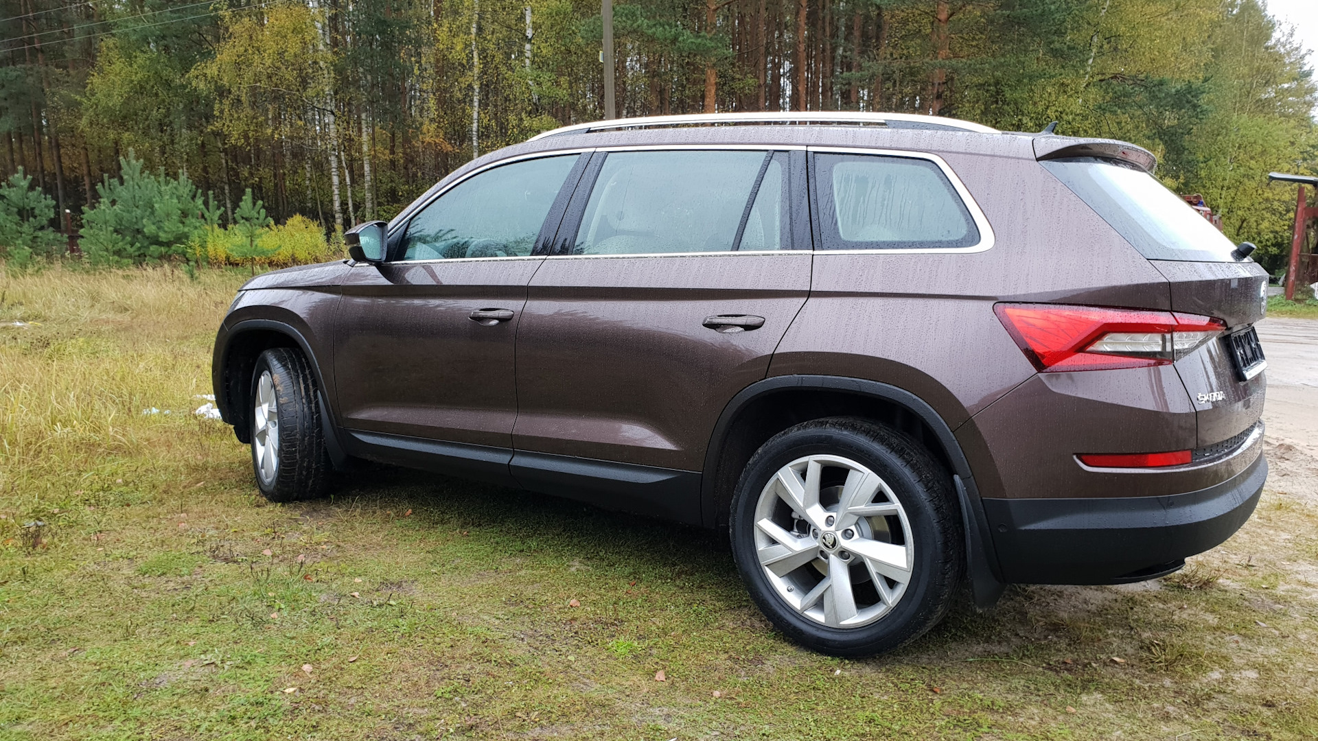 Skoda Kodiaq 2.0 дизельный 2018 | Коричневый турбо мишка на DRIVE2