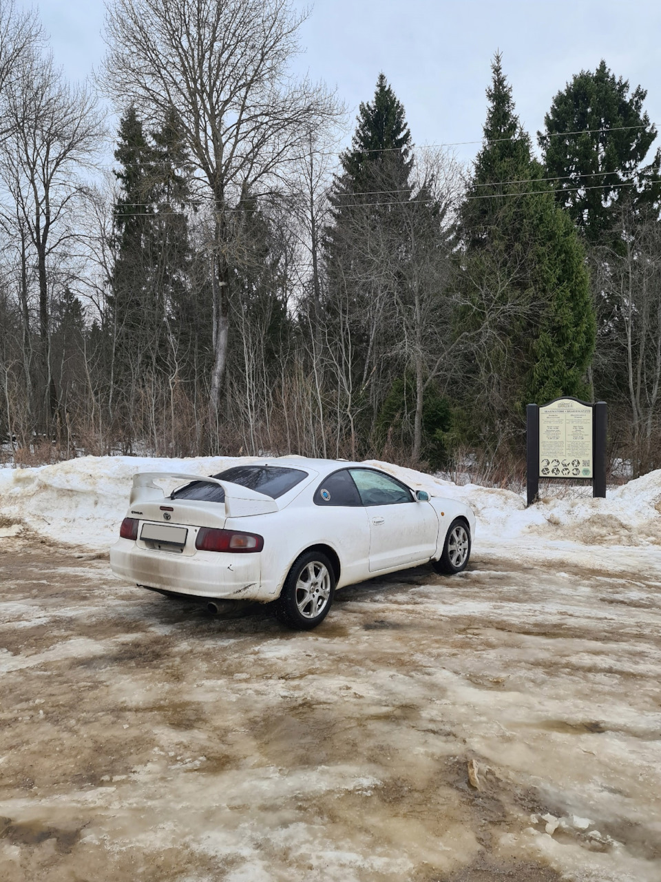 Путешествие в усадьбу Шахматово — Toyota Celica (200), 2 л, 1994 года |  путешествие | DRIVE2