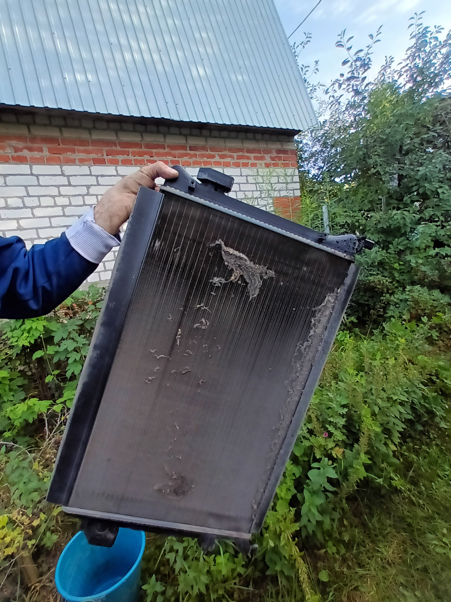 Мойка радиаторов, Лавр чистка испарителя, замена тормозной жидкости ...