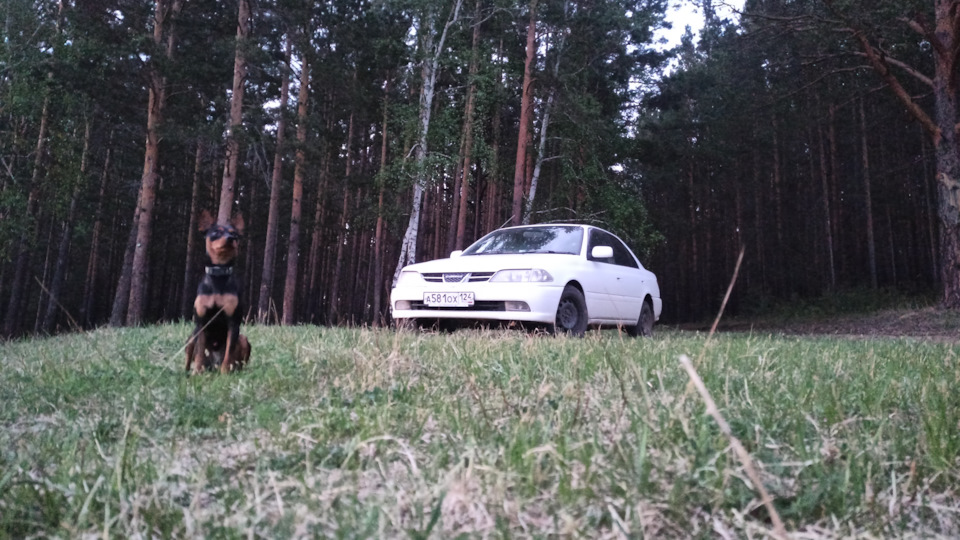 Сигнализация KGB FX5 не производит запуск двигателя — Toyota Carina (7G ...