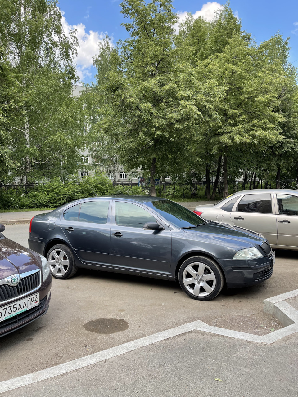 Зеленая тонировка Vag вкруг. — Skoda Octavia A5 Mk2, 1,6 л, 2006 года |  стайлинг | DRIVE2