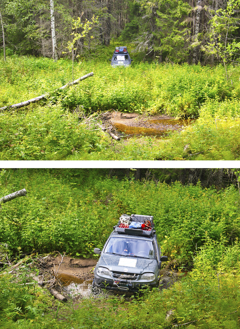 Старопинежский тракт одним дождливым летом — Сообщество «DRIVE2 Offroad» на  DRIVE2