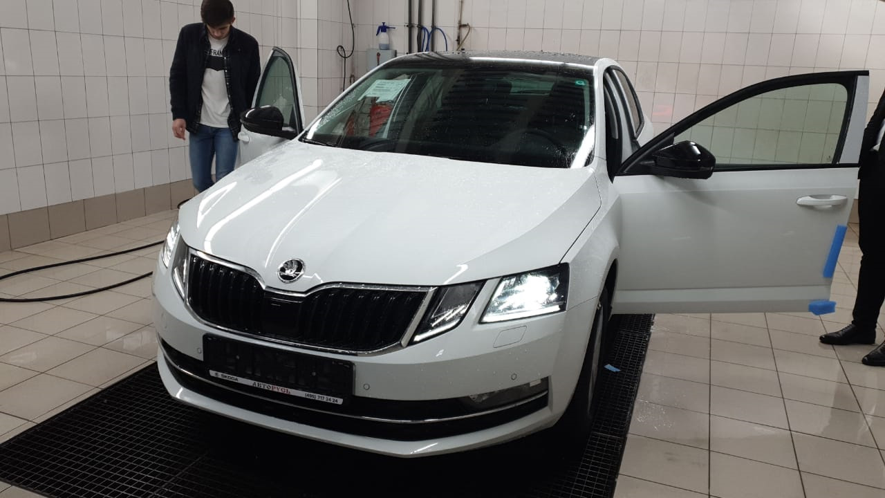 Как мне достался White Fang (белый клык) — Skoda Octavia A7 Mk3, 1,4 л,  2019 года | покупка машины | DRIVE2