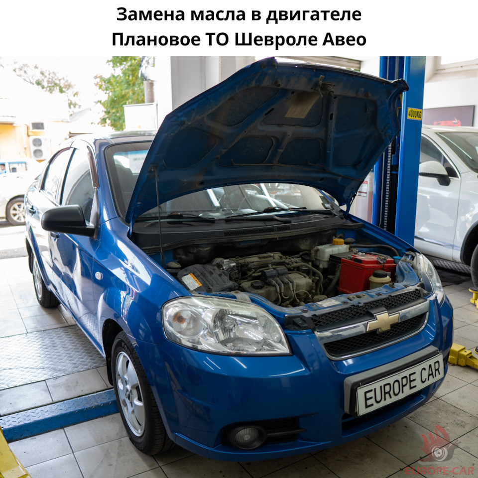 Плановое ТО Chevrolet Aveo: замена масла в двигателе — Europe-Car на DRIVE2