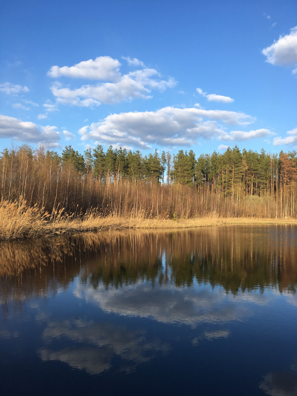 ТО после покупки KIA Ceed JD — KIA Ceed (2G), 1,6 л, 2013 года ...