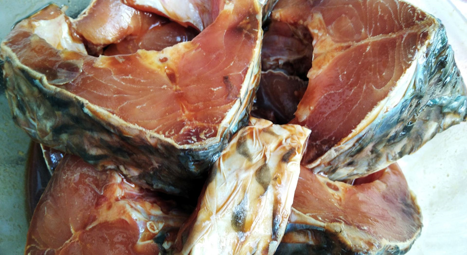 сазан на углях на решетке рецепт с фото. Смотреть фото сазан на углях на решетке рецепт с фото. Смотреть картинку сазан на углях на решетке рецепт с фото. Картинка про сазан на углях на решетке рецепт с фото. Фото сазан на углях на решетке рецепт с фото сазан на углях на решетке рецепт с фото. Смотреть фото сазан на углях на решетке рецепт с фото. Смотреть картинку сазан на углях на решетке рецепт с фото. Картинка про сазан на углях на решетке рецепт с фото. Фото сазан на углях на решетке рецепт с фото