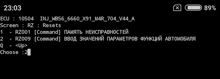 Здесь заходим в подменю RZ009 (в данном случае это № 2) — Renault Laguna III. Запчасти на фото: RZ009