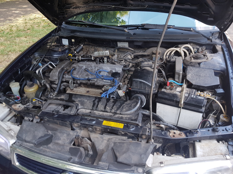 Радиатор лопнул Thermotec D73003TT — Mazda 626 IV (GE), 1,8 л, 1996 ...