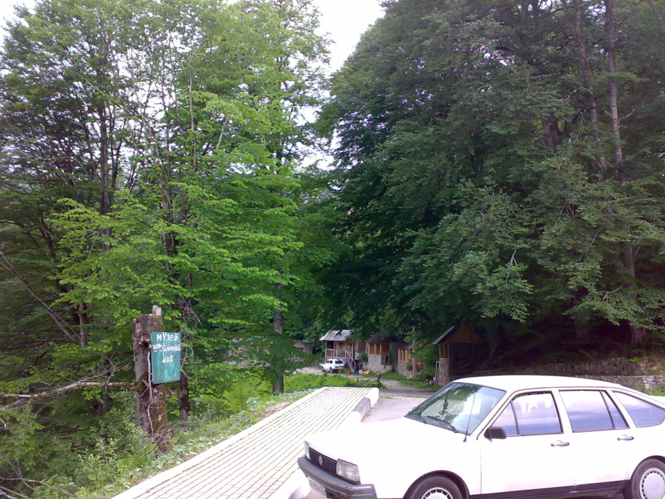 Трещина на лобовом стекле автомобиля — та еще неприятность. — Bitstop ...