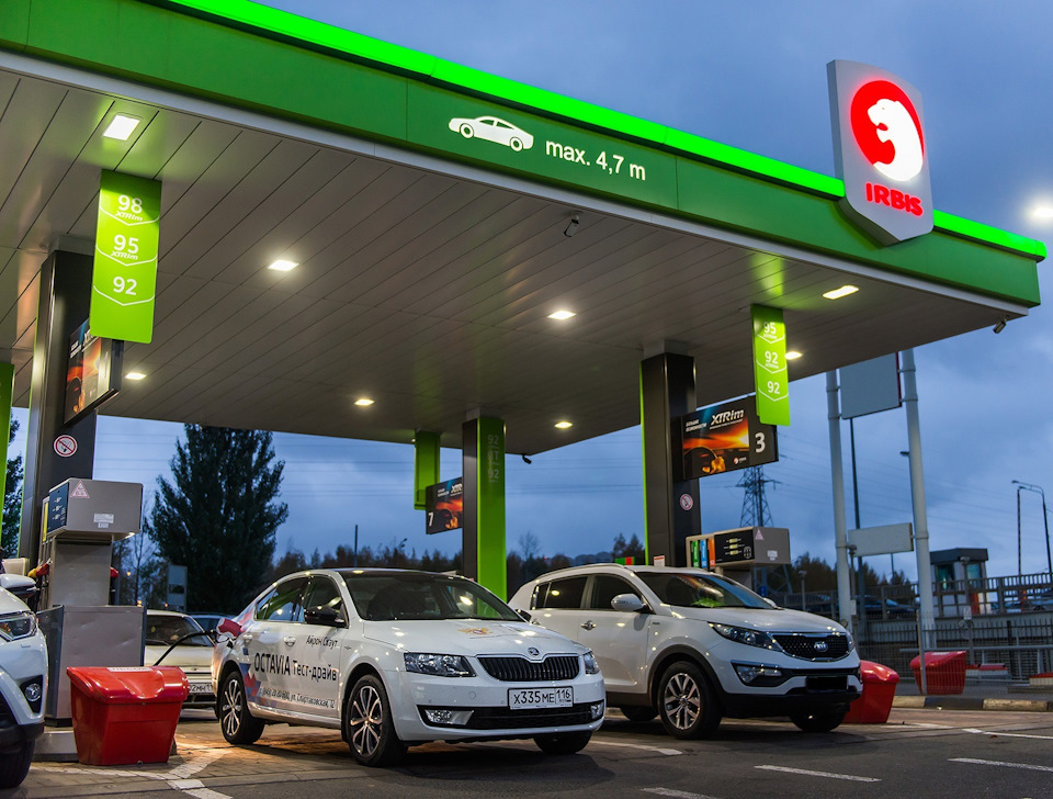 к какому классу относится skoda octavia. Смотреть фото к какому классу относится skoda octavia. Смотреть картинку к какому классу относится skoda octavia. Картинка про к какому классу относится skoda octavia. Фото к какому классу относится skoda octavia
