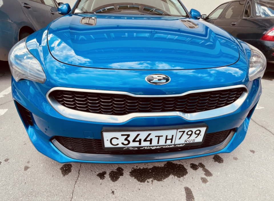 Замена шильдов и номера без флага — KIA Stinger, 2 л, 2019 года ...