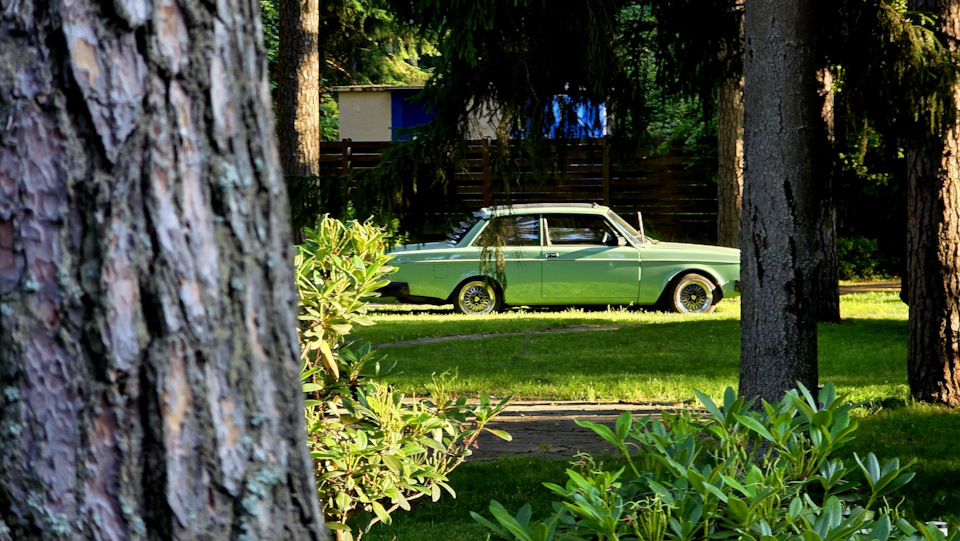 Фото в бортжурнале Volvo 242