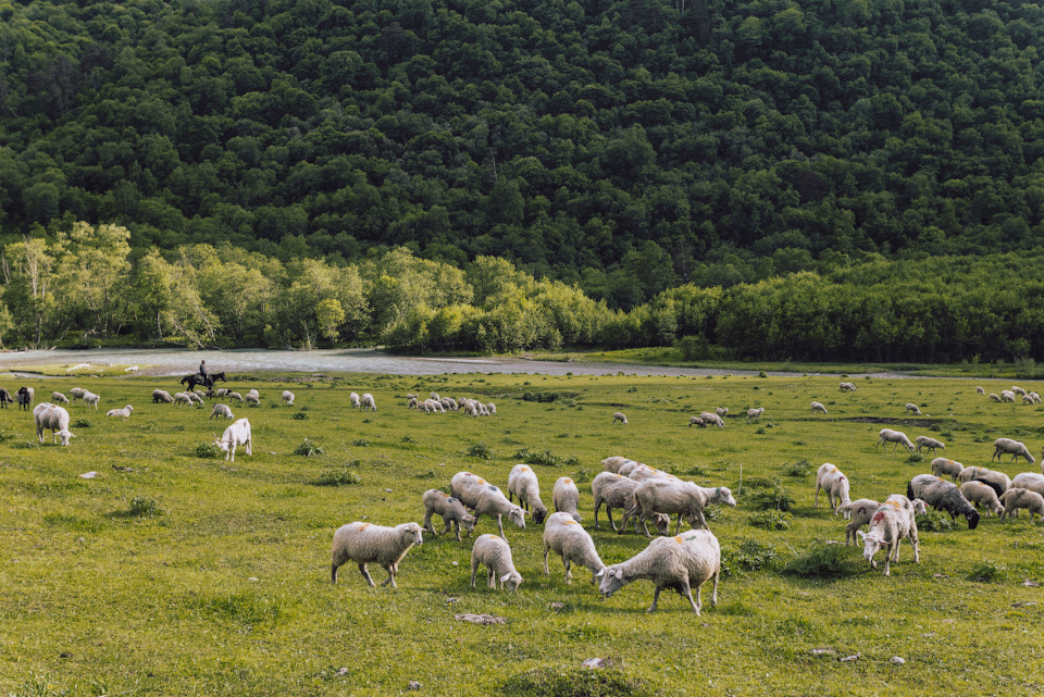 Река маруха карачаево черкессия что означает название. kjp3kfgGn5OnqT4xFDfNQOYUwNw 960. Река маруха карачаево черкессия что означает название фото. Река маруха карачаево черкессия что означает название-kjp3kfgGn5OnqT4xFDfNQOYUwNw 960. картинка Река маруха карачаево черкессия что означает название. картинка kjp3kfgGn5OnqT4xFDfNQOYUwNw 960. Река Маруха протекает по территории туристического района Архыза в Карачаево-Черкесской республике. Река маруха карачаево черкессия что означает название. kjp3kfgGn5OnqT4xFDfNQOYUwNw 960. Река маруха карачаево черкессия что означает название фото. Река маруха карачаево черкессия что означает название-kjp3kfgGn5OnqT4xFDfNQOYUwNw 960. картинка Река маруха карачаево черкессия что означает название. картинка kjp3kfgGn5OnqT4xFDfNQOYUwNw 960. Река Маруха протекает по территории туристического района Архыза в Карачаево-Черкесской республике.