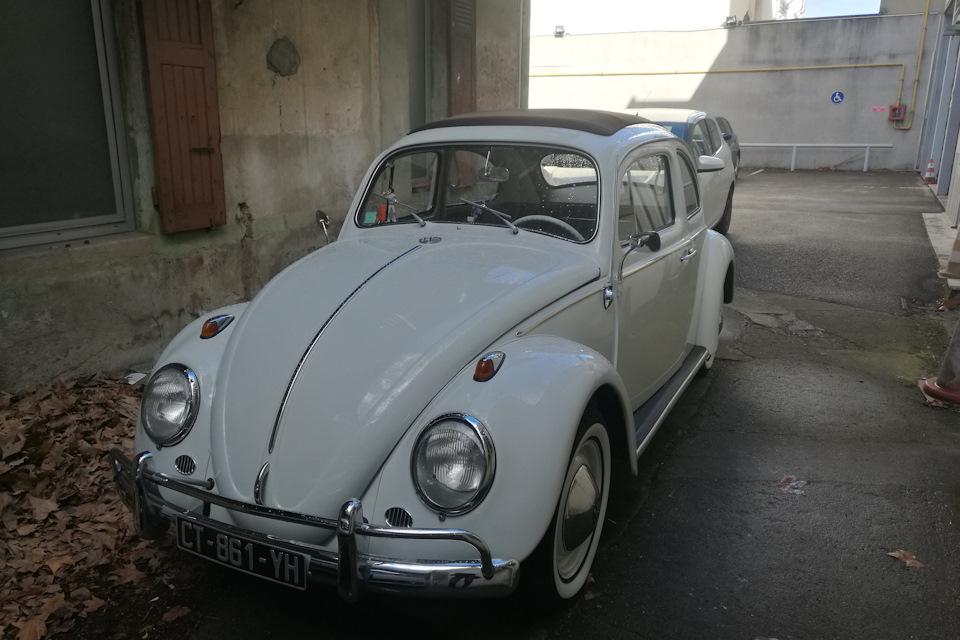 А рядом припарковался вот такой «Жук». — Audi A4 (B9)