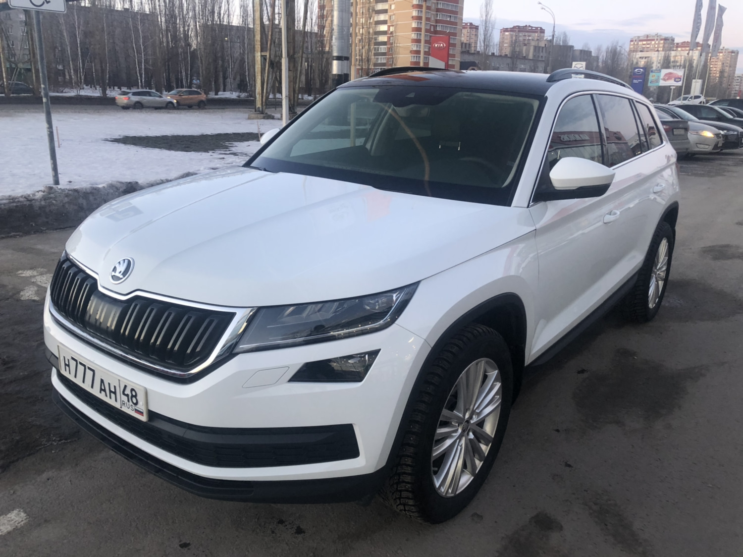 Шкода авито. То Skoda Kodiaq. То 7 Шкода Кодиак дизель. Шкода Кодиак авито. Skoda Codiaque перламутр.