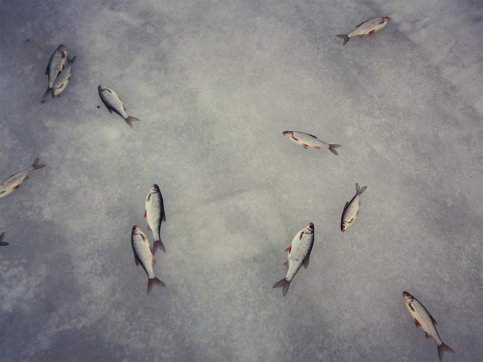 Фото в бортжурнале Chevrolet Niva (1G)