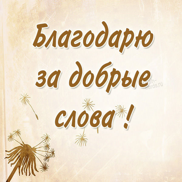 Благодарность за поздравления — открытки и картинки на вайбер, пожелания мирного неба - Телеграф