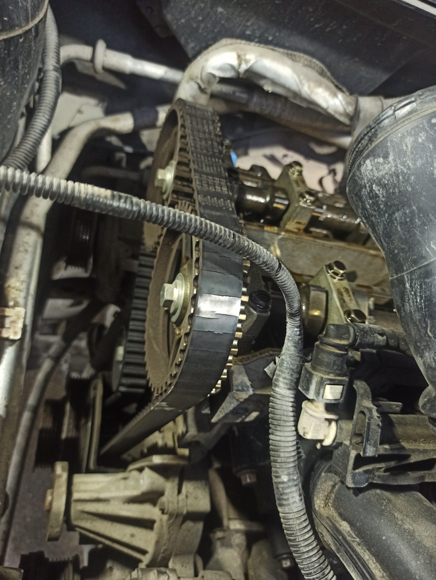 Грм передает привет — Ford Fusion, 1,6 л, 2008 года | расходники | DRIVE2