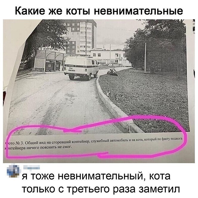 Kartinki Soobshestvo Pozitivov Zy Na Drive2