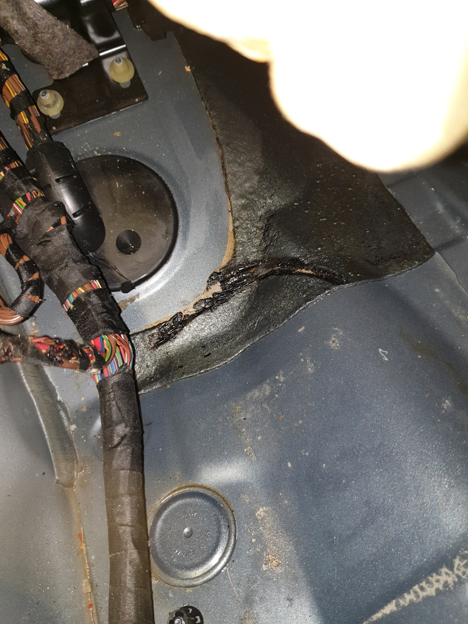 срабатывание штатной сигнализации при заводке двигателя — BMW 5 series ...